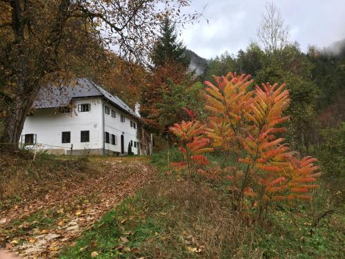 Forsthaus Gut Traunfried