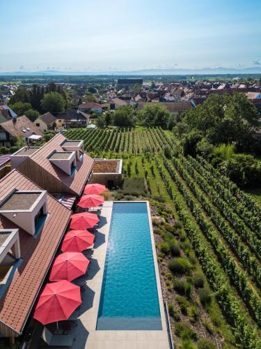 James Vignoble Hôtel, Eguisheim - 숙소 외관