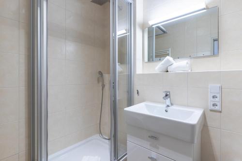 One-Bedroom Apartment image 6