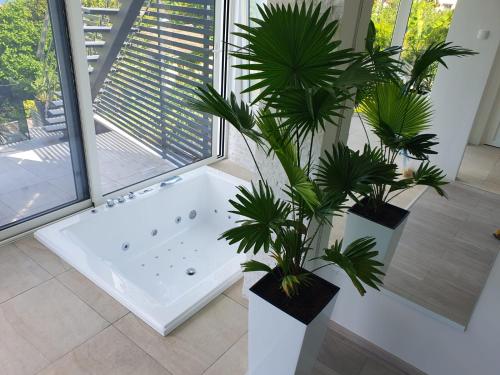 Pool and Jacuzzi Luxury Apartments in เบรกี