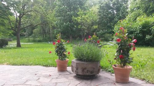 حديقة, Pension Aufeld in Landsberg am Lech