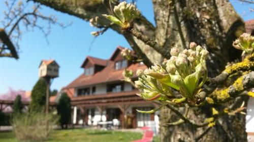 Pension Aufeld in Landsberg am Lech