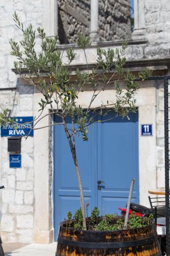 Bifora Heritage Hotel - image 4