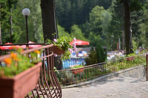Balkan Hotel - image 3