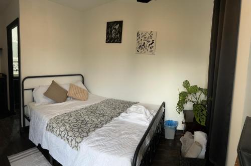 The CoZia in Μπελίζε Σίτι