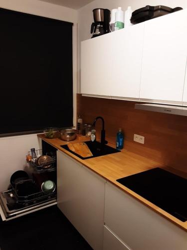 Luxurious 2 bedroom appartment, Amberes (foto 7)