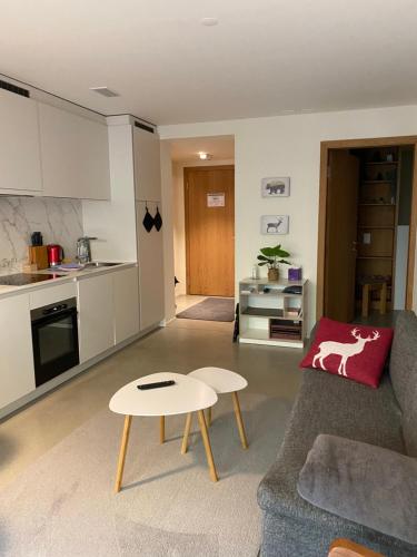 Stilvolle Ferienwohnung direkt an der Skipiste in Flims