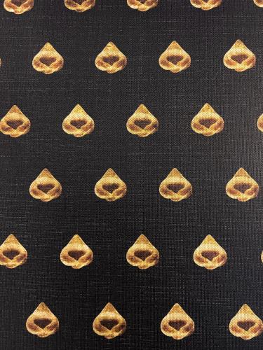 ALTANA HOUSE TORTELLINOSUITE Modena