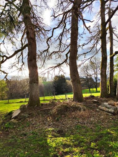 Alice's Home in 塔納克