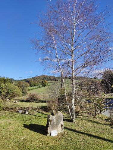 Alice's Home in 塔納克