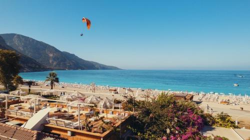 蚝式公寓 - 仅限成人  蚝式公寓 - 仅限成人