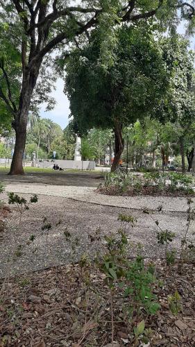 Excelente departamento Barrio Sur in Barrio Sur