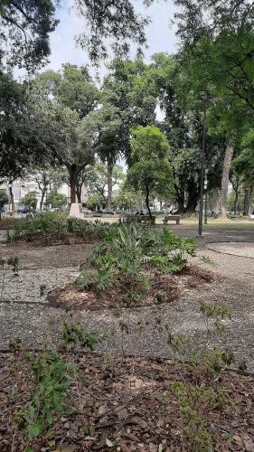 Excelente departamento Barrio Sur in Barrio Sur