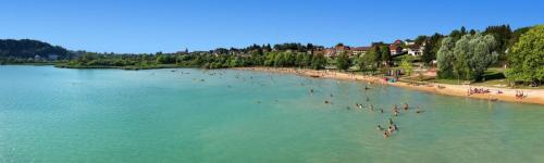 Studio GIMAZANE in Clairvaux-Les-Lacs