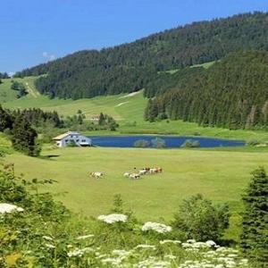 Studio GIMAZANE in Clairvaux-Les-Lacs
