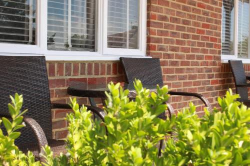 Garden, The Kings Head Inn in Rye