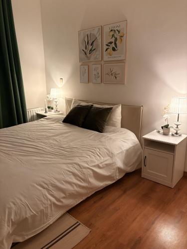 Cozy Private Room with Terrace & Workspace, Brussels (photo 9)