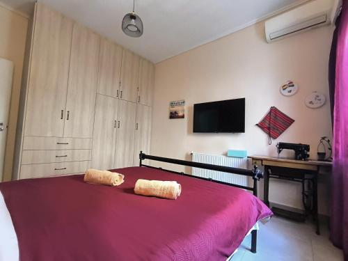 Casa Bonita, House with Private Entrance and Garden, between center and sea, Atény (fotografie 7)