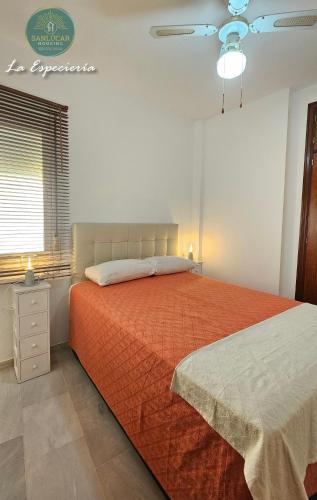 One-Bedroom Apartment image 6