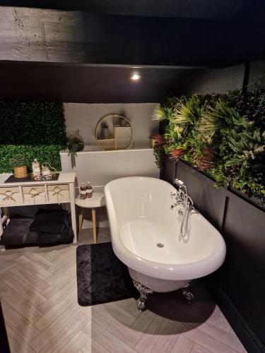 Albert Rd Aparthotel Albert Rd Aparthotel