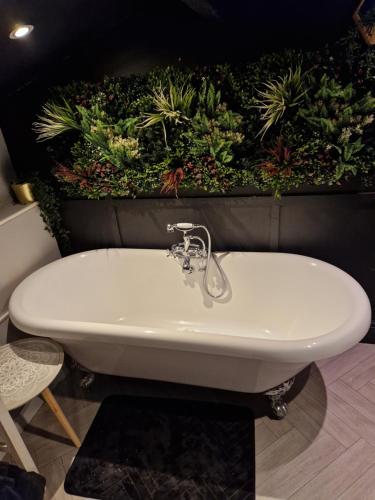 Albert Rd Aparthotel Albert Rd Aparthotel