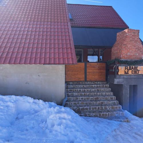 Cabana Floare de Colt