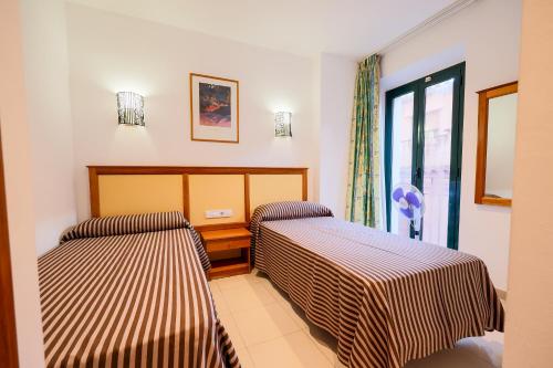 Standard Family Apartment image 10