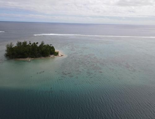 สภาพแวดล้อมโดยรอบ, Fare Hanuatai in เทไวโต