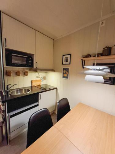 Koselig leilighet med Ski Bike in and out Nr 34 in Oyer