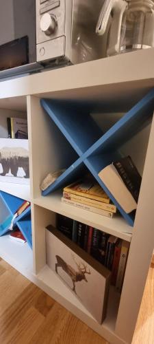 娛樂設施, Studio apartment 10mins from Oslo Cent. station. in 布耶爾克