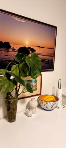 Studio apartment 10mins from Oslo Cent. station. - Tap to explore photos
