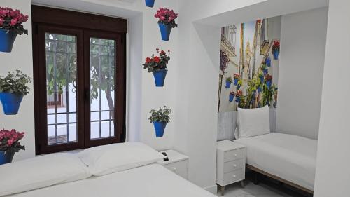 Nueva PENSION CIBELES, Córdoba (photo 11)