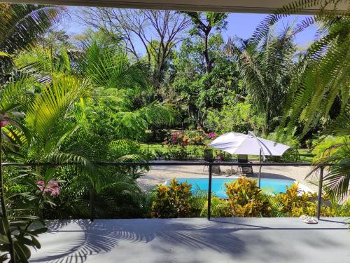 House in the palm forest, Carrillo (photo 4)