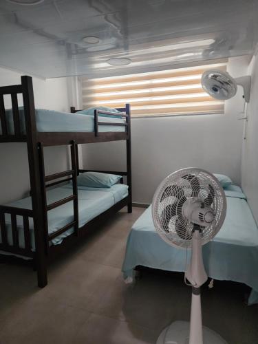Three-Bedroom Apartment image 10