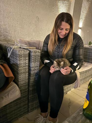 garden pyramid view - image 2