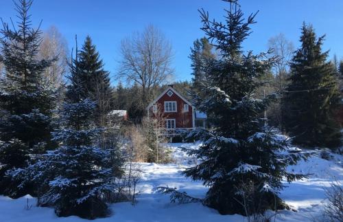 Hytte i Nordlige Varmland ved Branas – khách sạn tại Transtrand