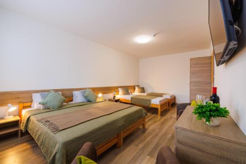 Hotel U Nádraží Room Type - Studio