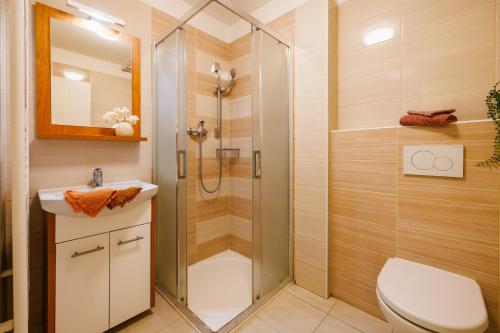 Hotel U Nádraží Room Type - Double Room with Private Bathroom