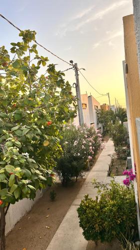 Kert, Apartamentos Mema in Malambo