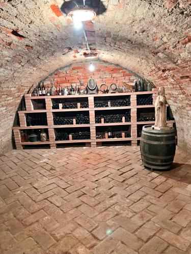 Fasiliteter, Penzion Na Třeťasu s vinným sklepem (Penzion Na Tretasu s vinnym sklepem) in Starovice U Hustopece