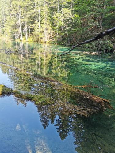 Urlaub wie früher bei Oma Urlaub wie früher bei Oma