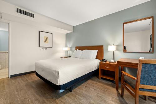 Queen Room - Disability Access