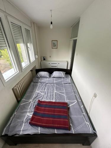 Warm Central Apartment