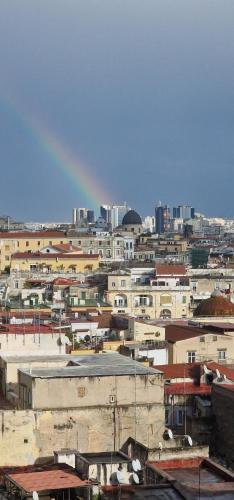 Olivella21 Luxury Apartment Montesanto 4