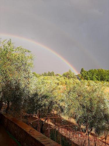 Country home in the Chiantishire close to Florence