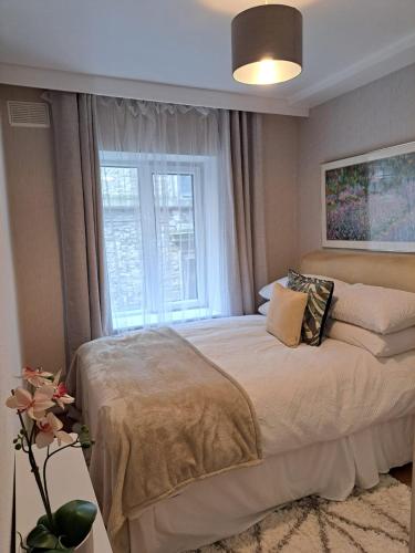 Cozy Apartment Dublin City Centre, Dublín (foto 4)