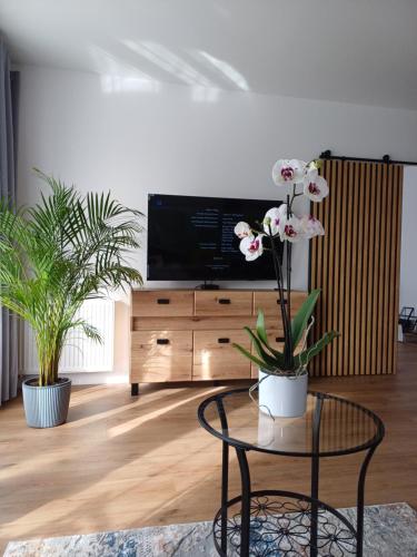 APARTAMENT DaViMa AQUAPARK Rumia - Novum