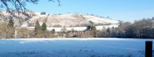 Bronfelin & Troed-y-Rhiw Holiday Cottage