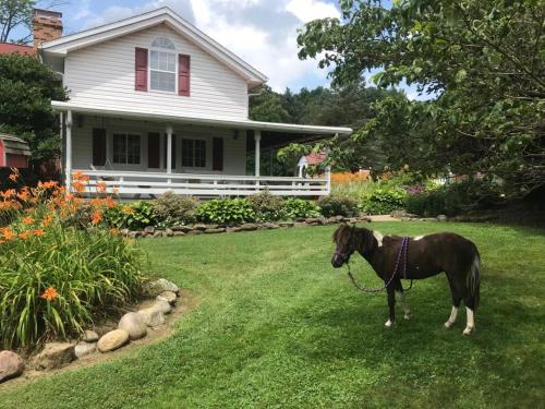 Mohican Farmhouse, Pond, and Animals