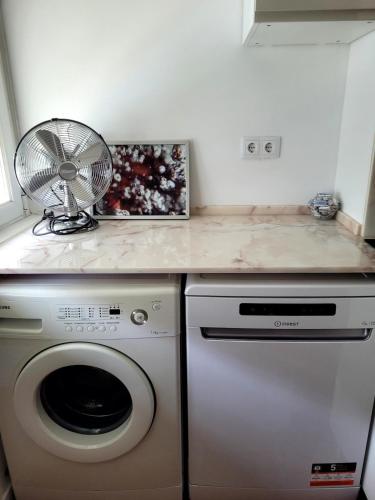 Treetops Benfica Stadium near Estadio do Sport Lisboa e Benfica